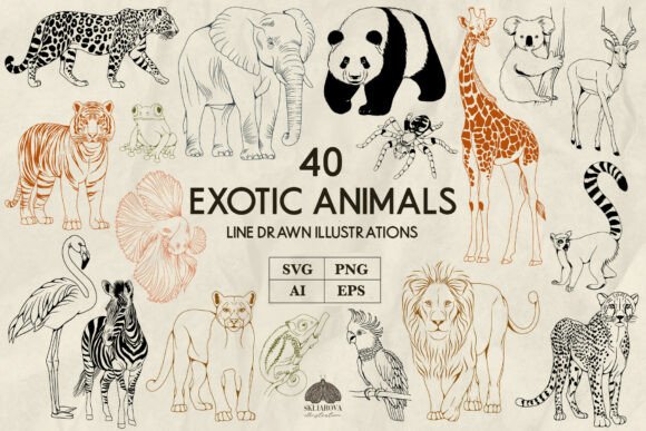 Download Exotic Animals Line Art Svg Png - Exotic Collection